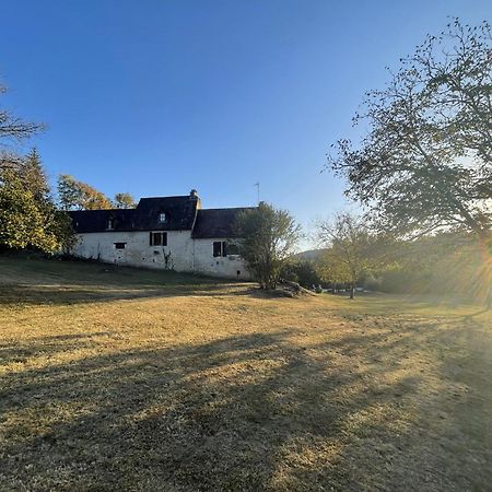 Villa Domaine Du Bonheur En Pierre Avec Piscine, Proche Sarlat Carlux Exterior foto